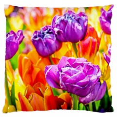 Tulip Flowers Large Flano Cushion Case (two Sides) by FunnyCow
