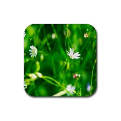 Inside The Grass Rubber Square Coaster (4 Pack)  by FunnyCow