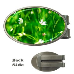 Inside The Grass Money Clips (oval)  by FunnyCow