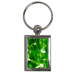 Inside The Grass Key Chains (rectangle) 