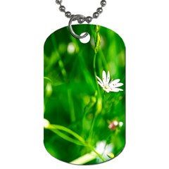 Inside The Grass Dog Tag (one Side)