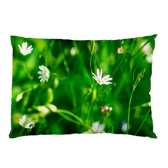Inside The Grass Pillow Case by FunnyCow