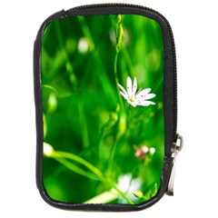 Inside The Grass Compact Camera Cases