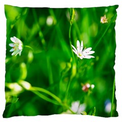 Inside The Grass Large Cushion Case (two Sides) by FunnyCow