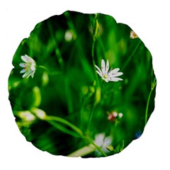Inside The Grass Large 18  Premium Flano Round Cushions by FunnyCow