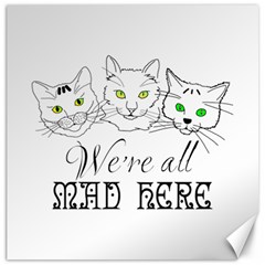 Funny Cats  We Are All Mad Here Canvas 20  X 20   by FunnyCow