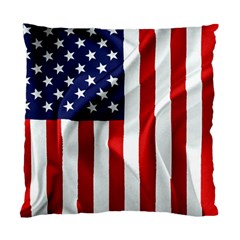 American Usa Flag Vertical Standard Cushion Case (two Sides) by FunnyCow