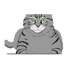 Cat Kitty Gray Tiger Tabby Pet Plate Mats by Sapixe