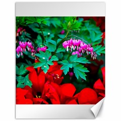 Bleeding Heart Flowers Canvas 18  X 24   by FunnyCow