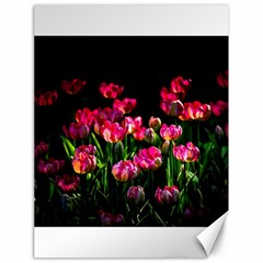 Pink Tulips Dark Background Canvas 18  X 24   by FunnyCow