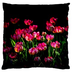 Pink Tulips Dark Background Large Flano Cushion Case (two Sides) by FunnyCow