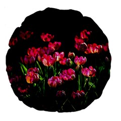 Pink Tulips Dark Background Large 18  Premium Flano Round Cushions by FunnyCow