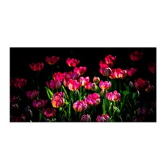 Pink Tulips Dark Background Satin Wrap by FunnyCow