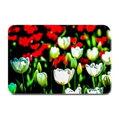 White And Red Sunlit Tulips Plate Mats by FunnyCow