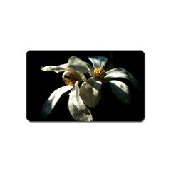 Two White Magnolia Flowers Magnet (name Card) by FunnyCow