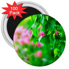 Green Birch Leaves, Pink Flowers 3  Magnets (100 Pack) by FunnyCow