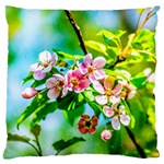 Crab Apple Flowers Large Cushion Case (Two Sides) Front