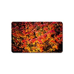 Orange, Yellow Cotoneaster Leaves In Autumn Magnet (name Card) by FunnyCow