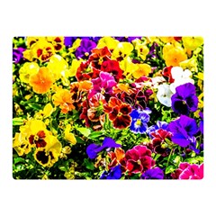 Viola Tricolor Flowers Double Sided Flano Blanket (mini)  by FunnyCow