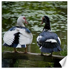 Muscovy Ducks At The Pond Canvas 12  X 12   by IIPhotographyAndDesigns