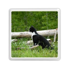 Farm Cat Memory Card Reader (square) by IIPhotographyAndDesigns
