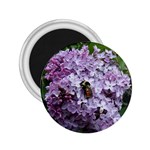 Lilac Bumble Bee 2.25  Magnets