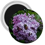 Lilac Bumble Bee 3  Magnets