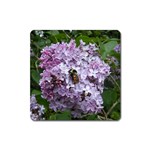 Lilac Bumble Bee Square Magnet