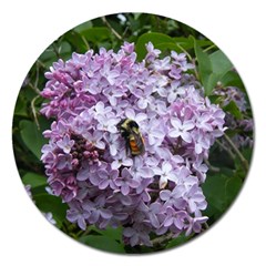 Lilac Bumble Bee Magnet 5  (round) by IIPhotographyAndDesigns