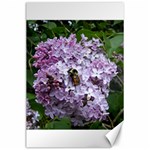Lilac Bumble Bee Canvas 24  x 36 