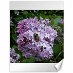 Lilac Bumble Bee Canvas 36  x 48  