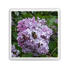 Lilac Bumble Bee Memory Card Reader (square) by IIPhotographyAndDesigns