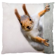 Curious Squirrel Large Cushion Case (two Sides) by FunnyCow