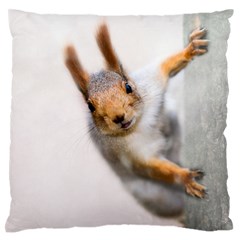 Curious Squirrel Standard Flano Cushion Case (one Side) by FunnyCow