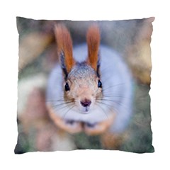 Squirrel Looks At You Standard Cushion Case (one Side) by FunnyCow