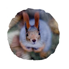 Squirrel Looks At You Standard 15  Premium Flano Round Cushions by FunnyCow