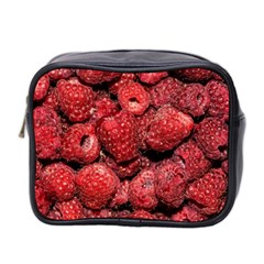 Red Raspberries Mini Toiletries Bag 2-side by FunnyCow