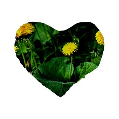 Yellow Dandelion Flowers In Spring Standard 16  Premium Flano Heart Shape Cushions by FunnyCow
