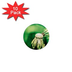 Dandelion Flower Green Chief 1  Mini Magnet (10 Pack)  by FunnyCow