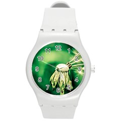 Dandelion Flower Green Chief Round Plastic Sport Watch (m) by FunnyCow