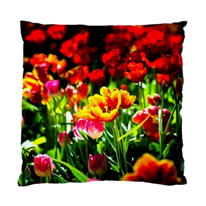 Colorful Tulips On A Sunny Day Standard Cushion Case (One Side)