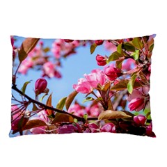 Crab Apple Blossoms Pillow Case (two Sides) by FunnyCow