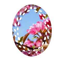 Crab Apple Blossoms Oval Filigree Ornament (two Sides) by FunnyCow