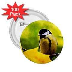 Tomtit Bird Dressed To The Season 2 25  Buttons (100 Pack)  by FunnyCow