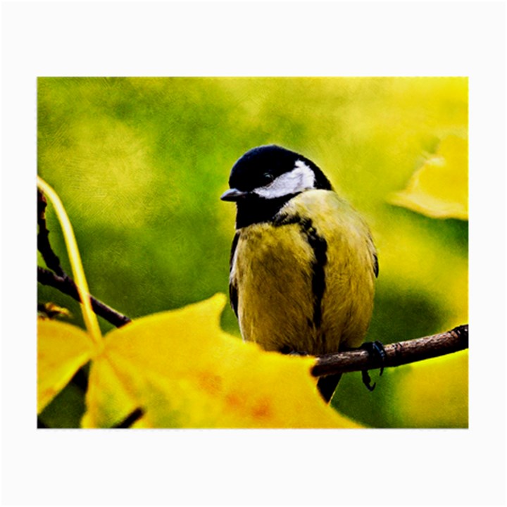 Tomtit Bird Dressed To The Season Small Glasses Cloth (2-Side)
