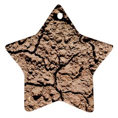 Earth  Light Brown Wet Soil Star Ornament (two Sides) by FunnyCow