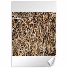 Dry Hay Texture Canvas 20  X 30   by FunnyCow