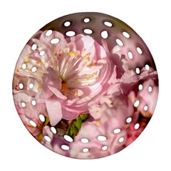 Beautiful Flowering Almond Round Filigree Ornament (two Sides) by FunnyCow
