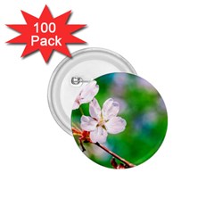 Sakura Flowers On Green 1 75  Buttons (100 Pack)  by FunnyCow