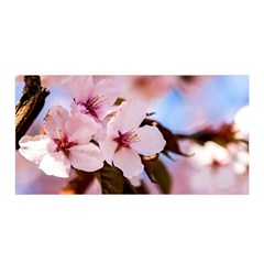 Three Sakura Flowers Satin Wrap by FunnyCow